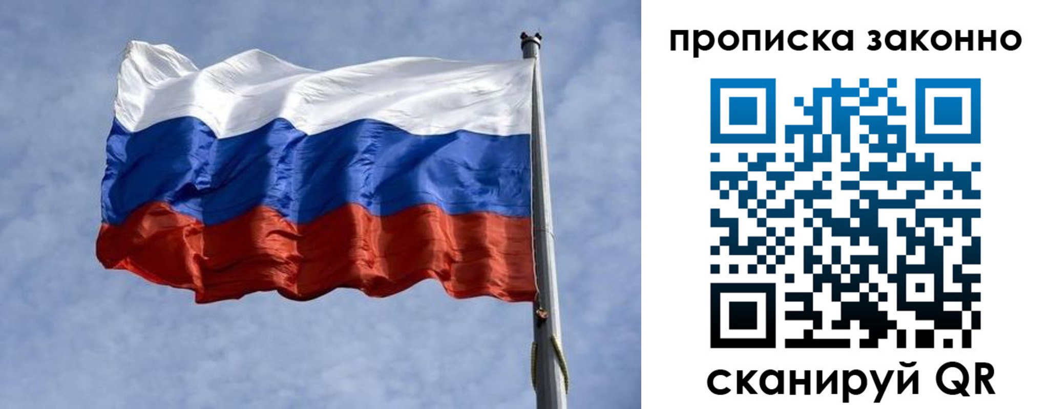 прописка поиск в Курске